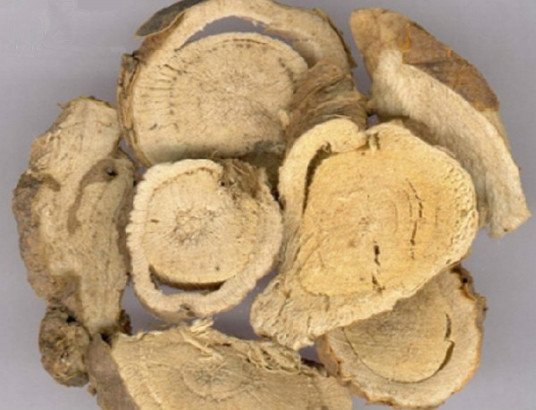 bitter sophora root extract powder 10% 20% 30% 98% HPLC